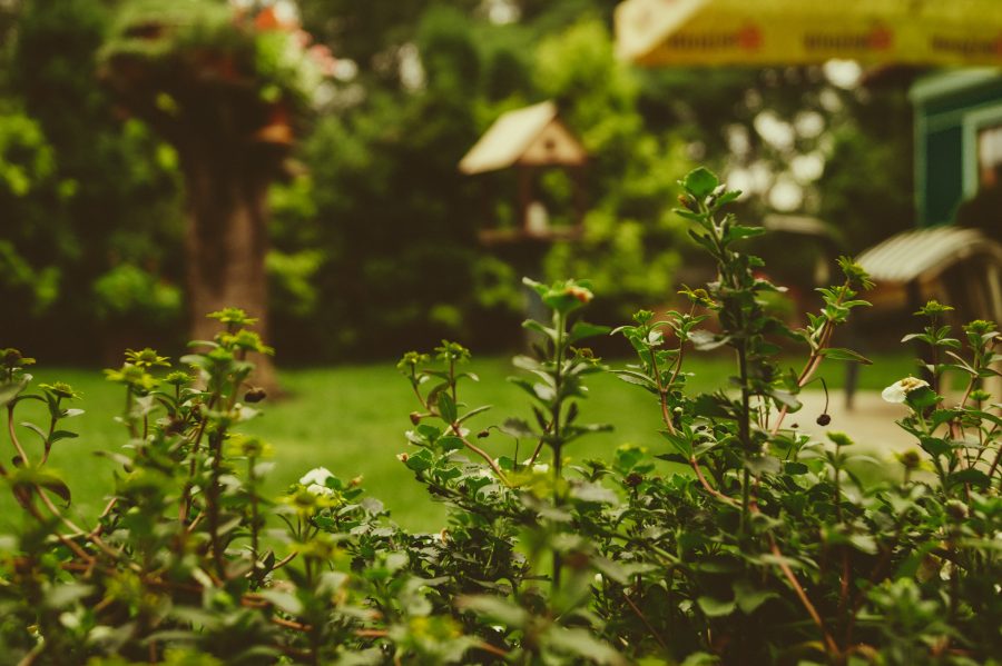 Tips om jouw tuin gezellig te maken!